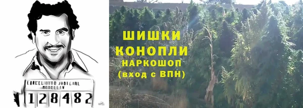 соль ск Абаза