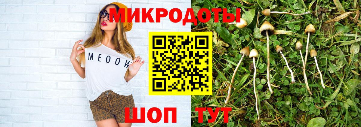 Псилоцибиновые грибы GOLDEN TEACHER  Галлюциногенные грибы Psilocybine cubensis  Дивногорск 