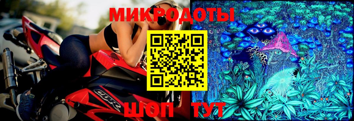 Галлюциногенные грибы Psilocybine cubensis Дивногорск